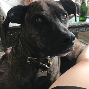 Meet your Posher, Maige